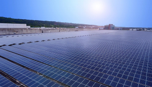 中美硅晶与304am永利携手战略合作